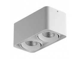 Потолочный светильник Lightstar Monocco 212526