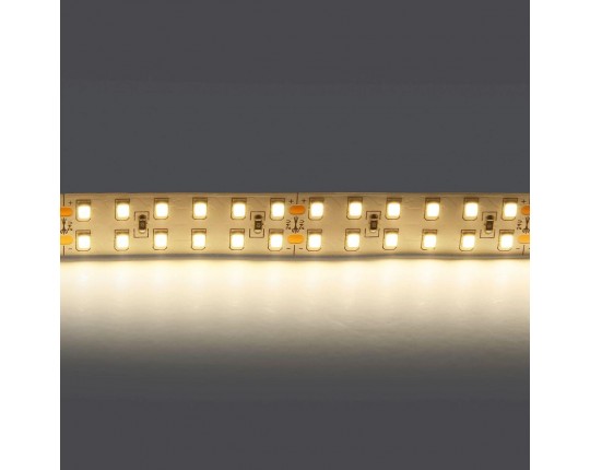 Светодиодная лента Lightstar 24W/m 240LED/m дневной белый 5M 421504