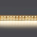 Светодиодная лента Lightstar 24W/m 240LED/m дневной белый 5M 421504