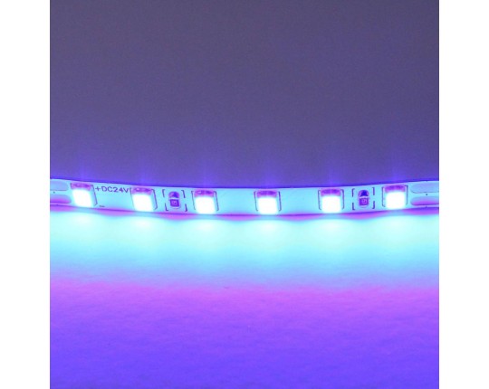 Светодиодная лента Lightstar 12W/m 120LED/m синий 5M 420515