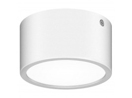 Уличный светодиодный светильник Lightstar Zolla 380164
