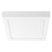 Потолочный светодиодный светильник Lightstar Zocco 324064