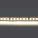 Светодиодная лента Lightstar 16W/m 168LED/m дневной белый 5M 420824