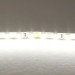 Светодиодная лента Lightstar 12W/m 120LED/m холодный белый 5M 420505 Светодиодная лента Lightstar 12W/m 120LED/m холодный белый 5M 420505