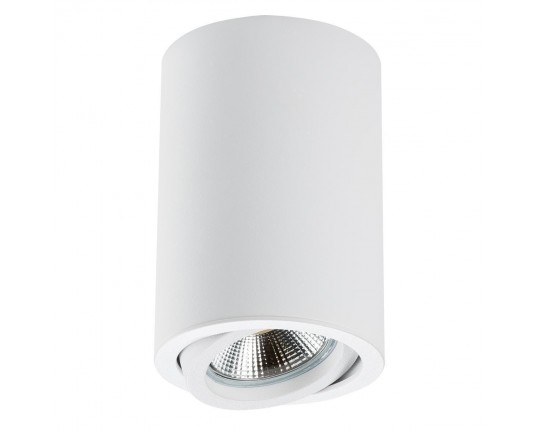 Потолочный светильник Lightstar Rullo 214406 Потолочный светильник Lightstar Rullo 214406