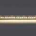 Светодиодная лента Lightstar 24W/m 240LED/m дневной белый 5M 421024