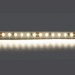 Светодиодная лента Lightstar 12W/m 120LED/m дневной белый 5M 420804