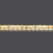 Светодиодная влагозащищенная лента Lightstar 12W/m 120LED/m дневной белый 5M 420554
