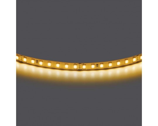 Лента двухсторонняя 24V Lightstar  420843