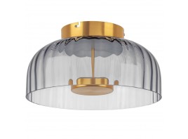Потолочный светодиодный светильник Lightstar Celesta 809061