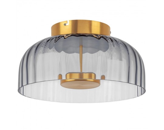 Потолочный светодиодный светильник Lightstar Celesta 809061