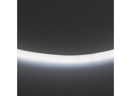 Гибкий неон Lightstar 9,6W/m 120LED/m холодный белый LS720 430204