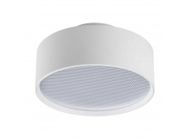 Светильник накладной Lightstar Acuto 215936