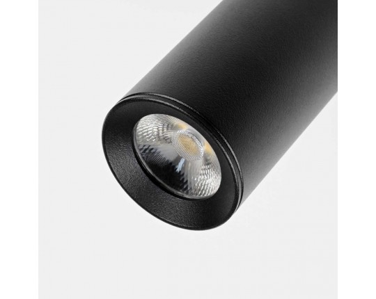 Трековый светильник Lightstar Due Hermes 210047