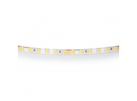 Светодиодная влагозащищенная лента Lightstar 12W/m 120LED/m дневной белый 5M 420554