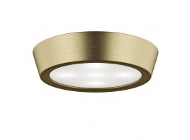 Потолочный светильник Lightstar Urbano Mini LED 214714