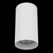 Потолочный светильник Lightstar Rullo 216486