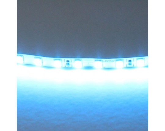 Светодиодная лента Lightstar 12W/m 120LED/m голубой 5M 420516 Светодиодная лента Lightstar 12W/m 120LED/m голубой 5M 420516