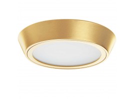 Потолочный светодиодный светильник Lightstar Urbano 214932