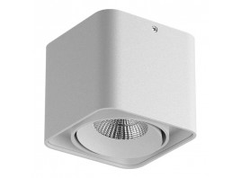 Потолочный светильник Lightstar Monocco 212516