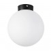 Настенно-потолочный светильник Lightstar Globo 812027