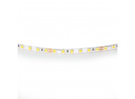 Светодиодная лента Lightstar 12W/m 120LED/m холодный белый 5M 420505