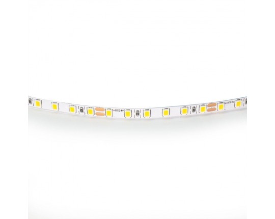 Светодиодная лента Lightstar 12W/m 120LED/m холодный белый 5M 420505 Светодиодная лента Lightstar 12W/m 120LED/m холодный белый 5M 420505