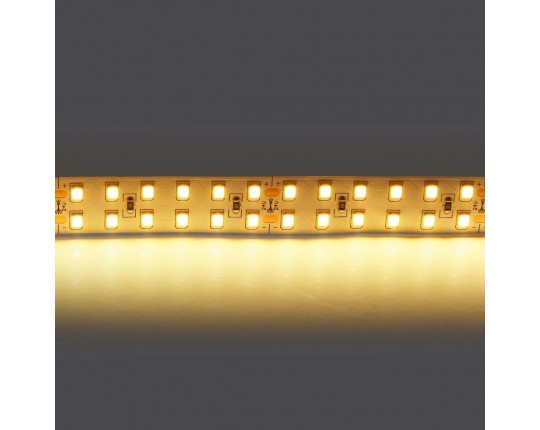 Светодиодная лента Lightstar 24W/m 240LED/m теплый белый 5M 421503