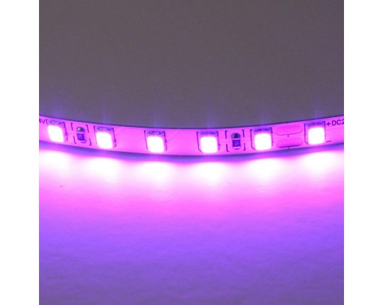 Светодиодная лента Lightstar 12W/m 120LED/m фиолетовый 5M 420518