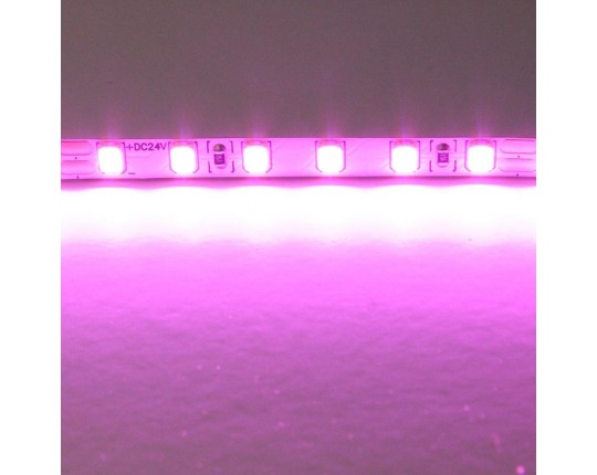 Светодиодная лента Lightstar 12W/m 120LED/m розовый 5M 420512