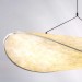 Люстра подвесная Lightstar Genova 610106