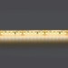 Светодиодная влагозащищенная лента Lightstar 14W/m 180LED/m дневной белый 5M 421054