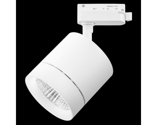 Трековый светодиодный светильник Lightstar Canno Led 301264