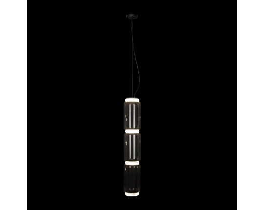 Подвесной светодиодный светильник Loft IT Noctambule 10194/L