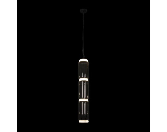 Подвесной светодиодный светильник Loft IT Noctambule 10194/L