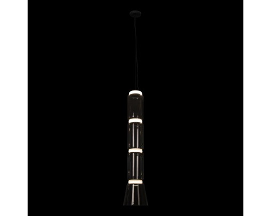 Подвесной светодиодный светильник Loft IT Noctambule 10193/L
