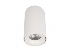 Потолочный светодиодный светильник Loft IT Tictac 10220 White 4000K