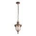 Уличный подвесной светильник Loft IT Alessano 100017P