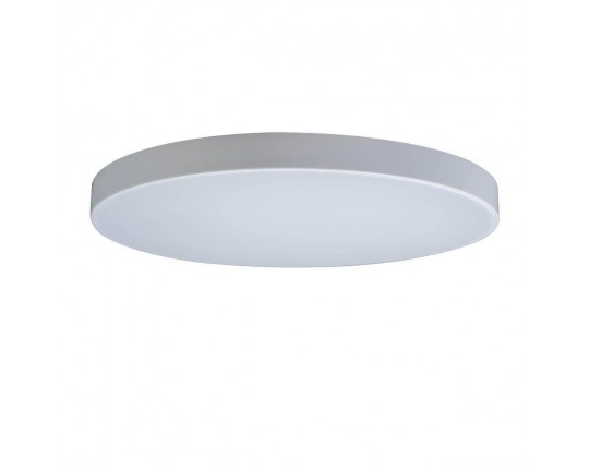 Потолочный светодиодный светильник Loft IT Axel 10002/48 white