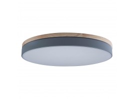 Потолочный светодиодный светильник Loft IT Axel 10001/36 grey
