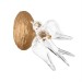 Бра LOFT IT Voa 10378W