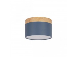 Накладной светодиодный светильник Loft IT Grape 10162 Blue
