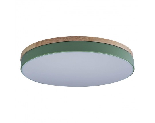 Потолочный светодиодный светильник Loft IT Axel 10001/36 green