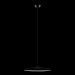 Подвесной светодиодный светильник Loft IT Plato 10119 Black