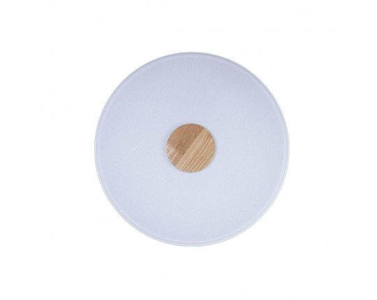 Потолочный светодиодный светильник Loft IT Axel 10003/24 white