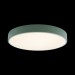 Потолочный светодиодный светильник Loft IT Axel 10002/24 green