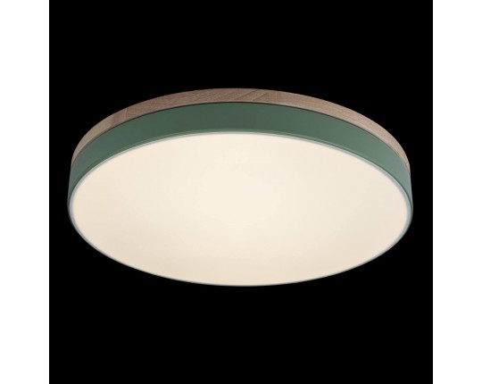 Потолочный светодиодный светильник Loft IT Axel 10001/36 green