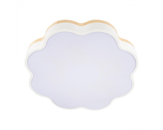 Потолочный светодиодный светильник Loft IT Axel 10225/36 White