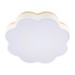 Потолочный светодиодный светильник Loft IT Axel 10225/36 White