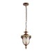 Уличный подвесной светильник Loft IT Alessano 100017P